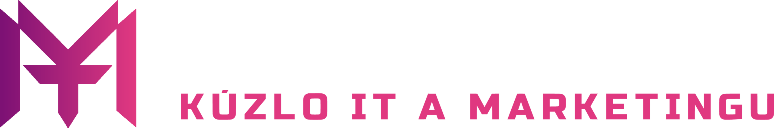 MAGE team